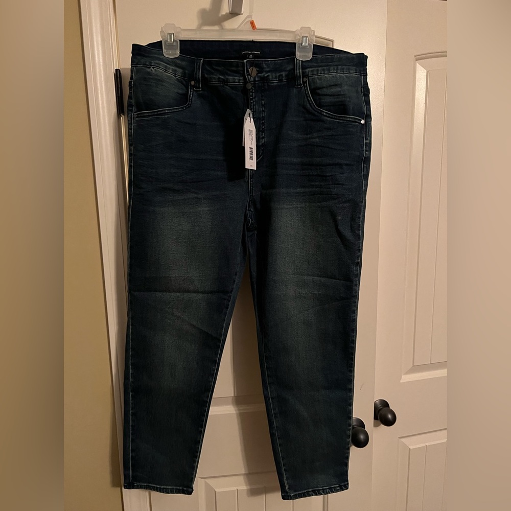 Universal Standard Seine High Rise Skinny Jeans 27 Inch size 16 NWT